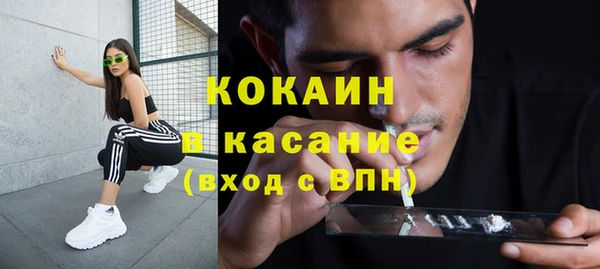 твердый Арсеньев