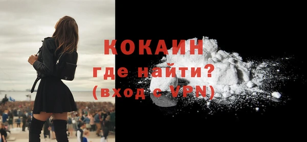 твердый Арсеньев