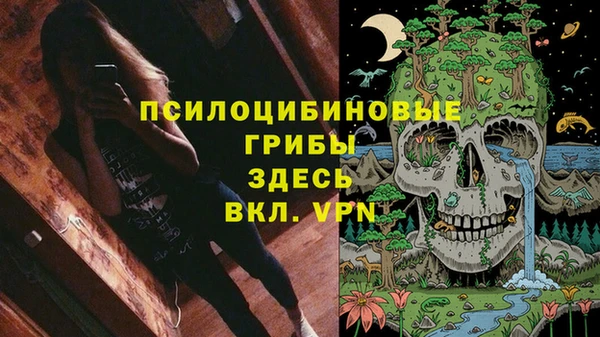 кокс Аркадак