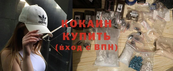 твердый Арсеньев